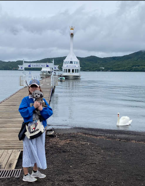 山中湖白鳥の湖