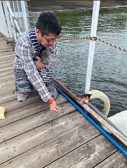 山中湖白鳥の湖